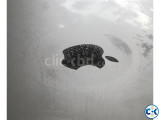 Small image 1 of 5 for The Macbook Was Damage in Rain | ClickBD