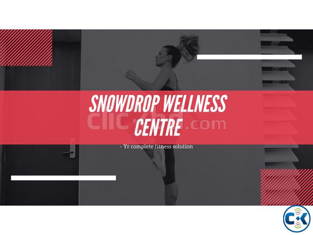 Pro level Body transformation Snowdrop wellness centre large image 0