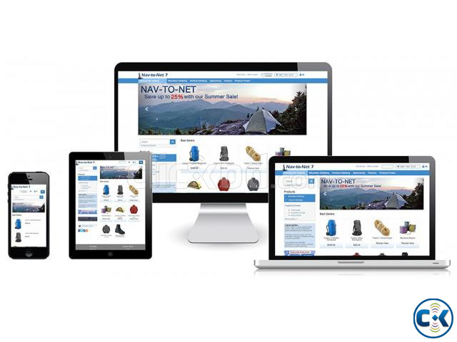 Business and E-Commerce Website large image 3