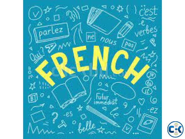 FRENCH LANGUAGE TUTOR_ONLINE OFFLINE large image 0
