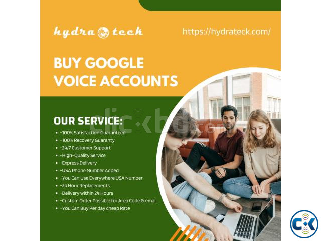 Buy Google Voice Accounts large image 0