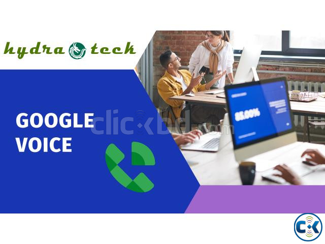 Buy Google Voice Accounts large image 3