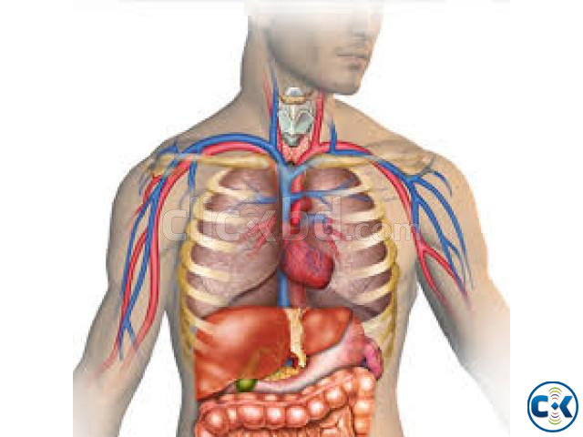 BIOLOGY TUTOR_O A LEVEL large image 1