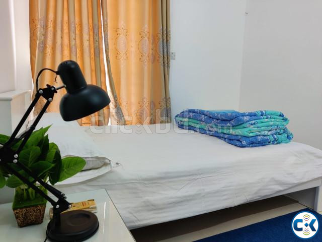 Furnished Two BHK Serviced Apartment RENT. large image 1