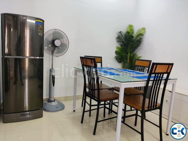 Furnished Two BHK Serviced Apartment RENT. large image 2