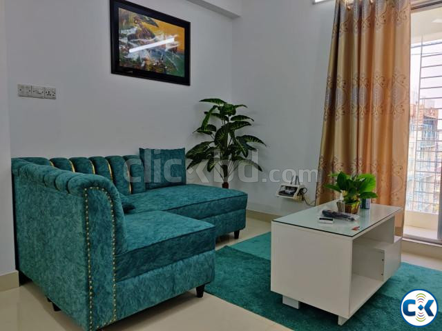 Furnished Two BHK Serviced Apartment RENT. large image 3