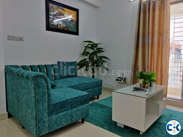 Furnished Two BHK Serviced Apartment RENT. large image 2