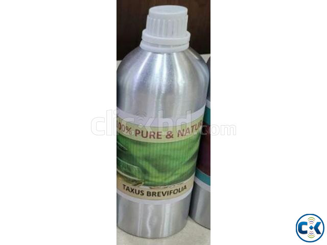 Taxus bravefoliya extract solution GS large image 0