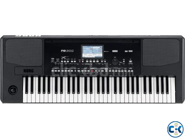 KORG PA 300 61 keys Professional Arranger Keyboard PIANO large image 1