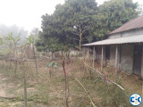 Urgent Land Sell Gazipur Union Sheepur