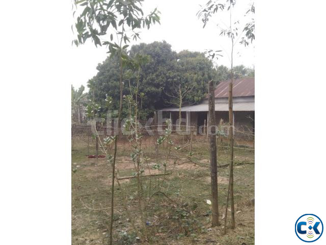 Urgent Land Sell Gazipur Union Sheepur large image 1