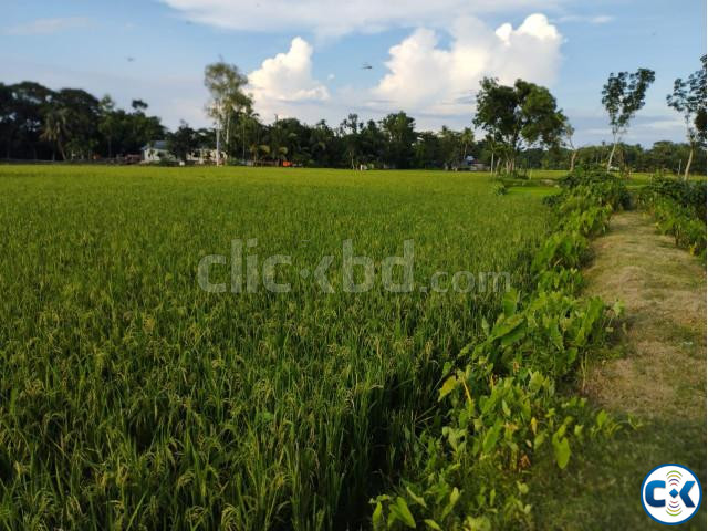 LAND FOR SALE GULSHAN -- 1 | ClickBD large image 0