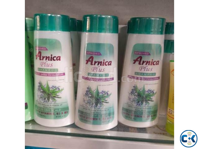 Arnica Plus Shampoo large image 0