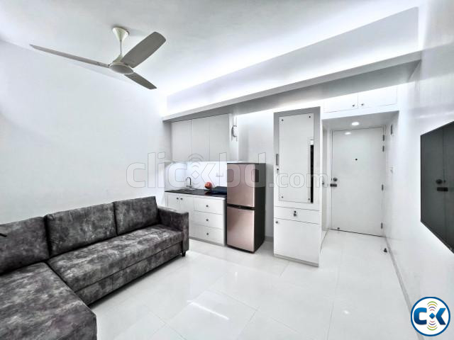Rent A Well-Furnished Studio Apartment With Two Spacious Roo large image 1