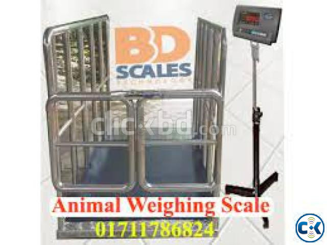 Digital Animal Weight Scale SS Plate large image 2