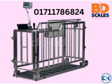 Animal Weighing Scale