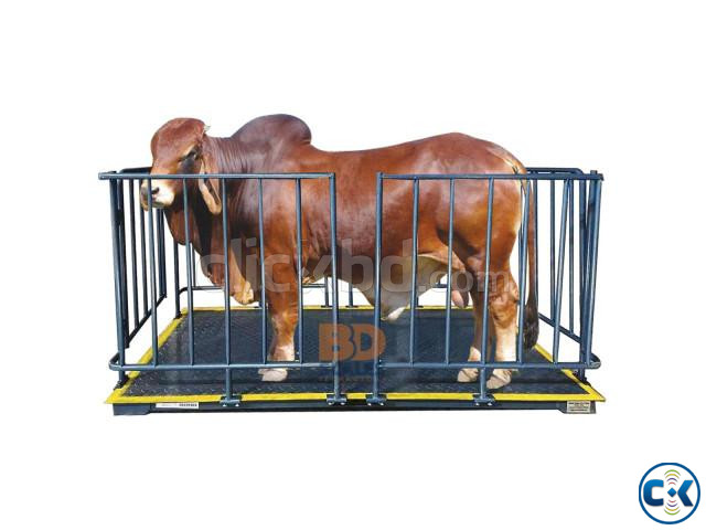 Animal Weighing Scale large image 1