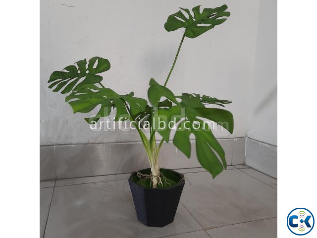 Artificial Monstera Plant মনস্টেরা গাছ large image 0