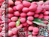 Bombay Lichu