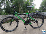Indian Phoenix Cycle