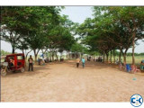 Green model town গ্রীন মডেল টাউন