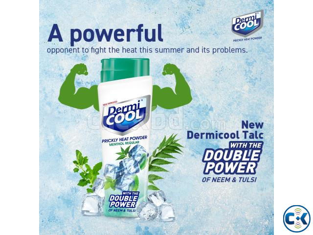Best Prickly Heat Rash Powder by Dermicool large image 0