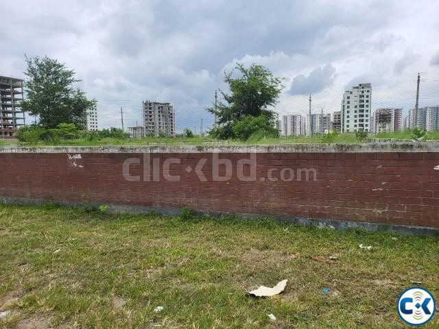   large image 0