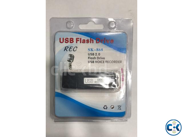 SK USB Mini Digital Hidden Voice Recorder large image 2