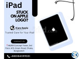 iPad Mini 4th Gen 2015 Stuck on Apple Logo Issue Fixing