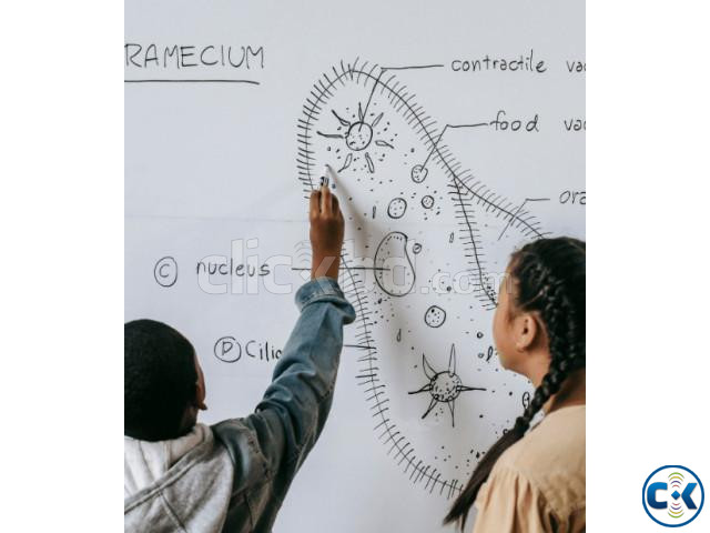 BIOLOGY HOME TUTOR IN ELEPHAND ROAD large image 2