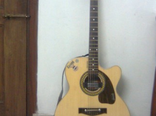 guiter sell