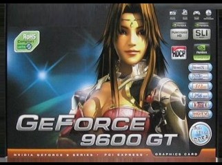 agp card nvidia geforce 9600 gs