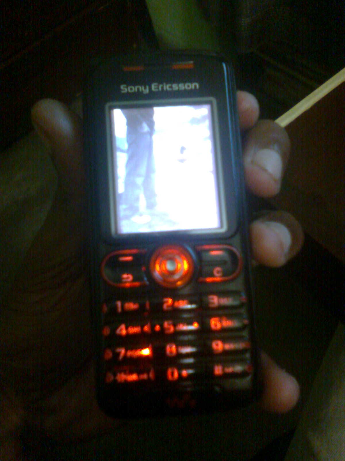 SONY ERICSSON w200i large image 0