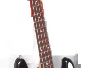 beautrim professional bass guiter