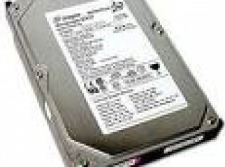 Hard Disk