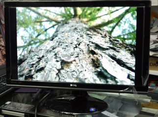 BenQ EW2420 24 LED Monitor