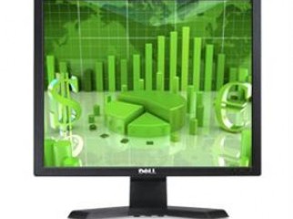 DELL e170s SQUARE LCD MONITOR