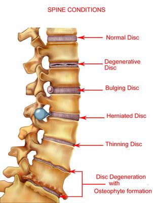 On Call Doctors Cardiologist Physiotherapist  large image 2