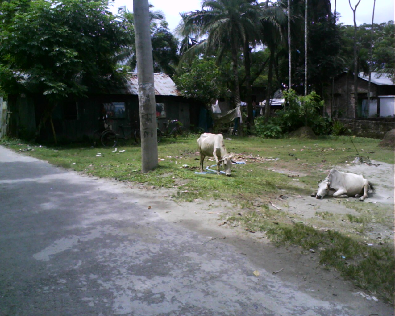 Barisal City 5 Shotangsho  large image 0