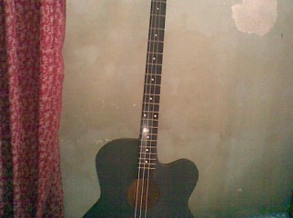 4-String Acoustic Bass Guitar