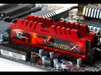 G.skill Ripjaw X 1600Mhz 4GB