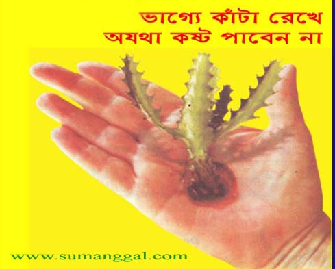 BANGLADESH BEST ASTROLOGER large image 0