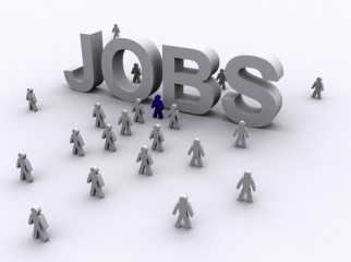 Marketing Sales Executive Needed