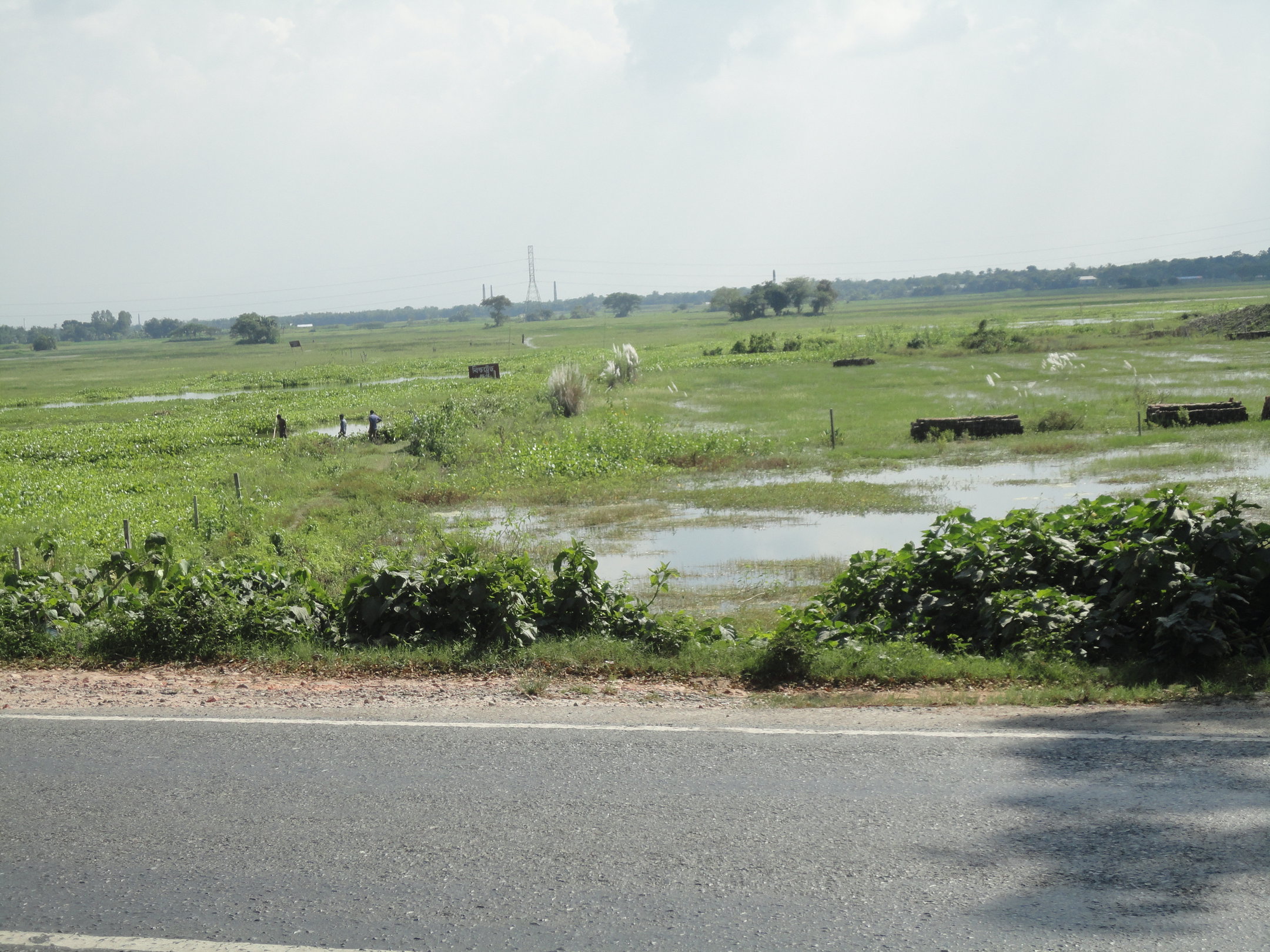 200 Bigha land for Real Estate Developer 1.20 Lakh per DCML large image 0