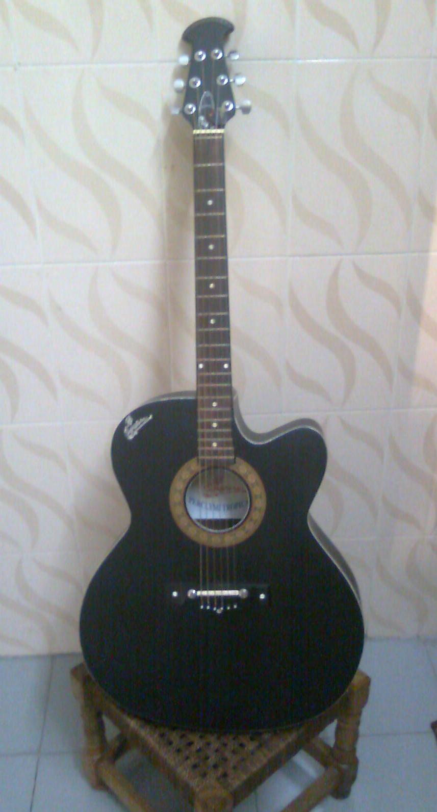 Signature Acoustic Guitar loud series  large image 0