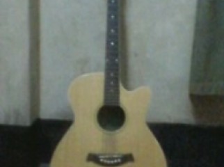 TGM guitar 6 month used