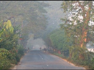 Land in Manikganj town