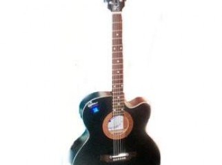 signature accoustic guiter with carring bag..... new 