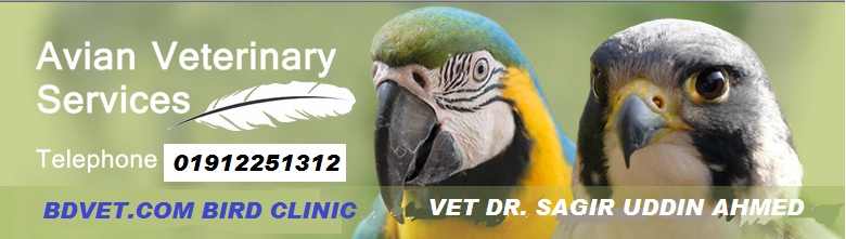 Bird Clinic large image 0