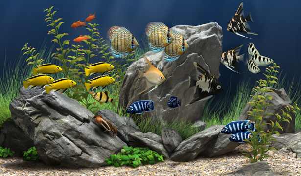 Dream Aquarium large image 0